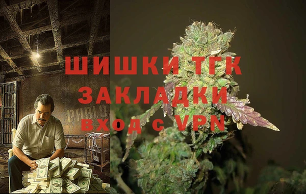 амф Магадан