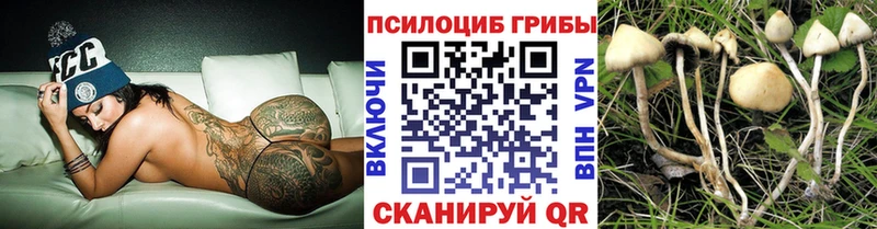 наркотики  Павлово  Галлюциногенные грибы Magic Shrooms 